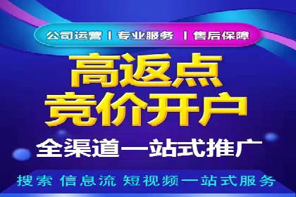 百度竞价排名实战：关键词优化与广告投放策略案例